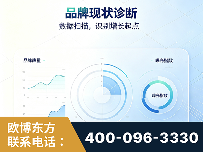 泊头-品牌现状诊断