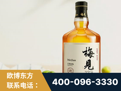 泊头-梅见青梅酒